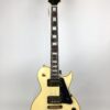 ARIA PRO II PE-350 CST (AGWH)