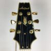 ARIA PRO II PE-350 CST (AGWH) - obrazek 4
