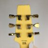 ARIA PRO II PE-350 CST (AGWH) - obrazek 3