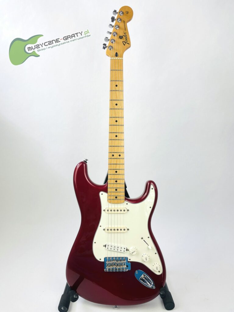Fender Standard Stratocaster (Texas Special + Seymour Duncan SH4)