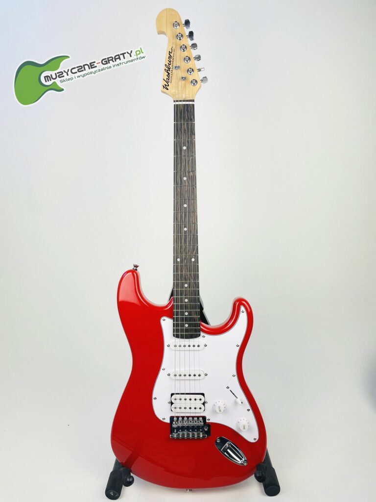 WASHBURN WS 300 H (R) IMG_7781
