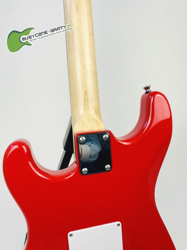 WASHBURN WS 300 H (R) - obrazek 9