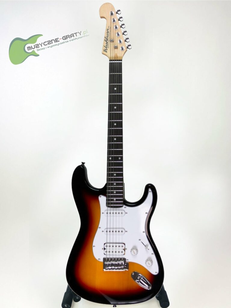 Washburn WS 300 H (TS)