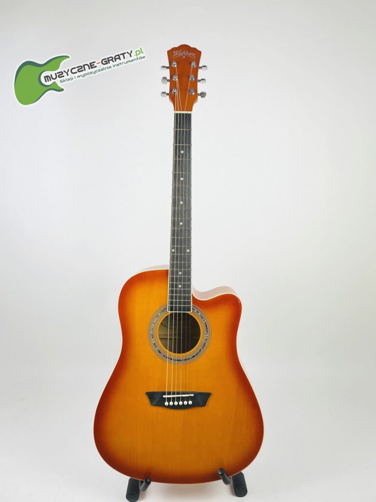 Washburn WA90 CE IMG_8442