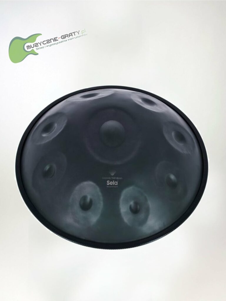 Sela Melody Handpan D Kurd SE220