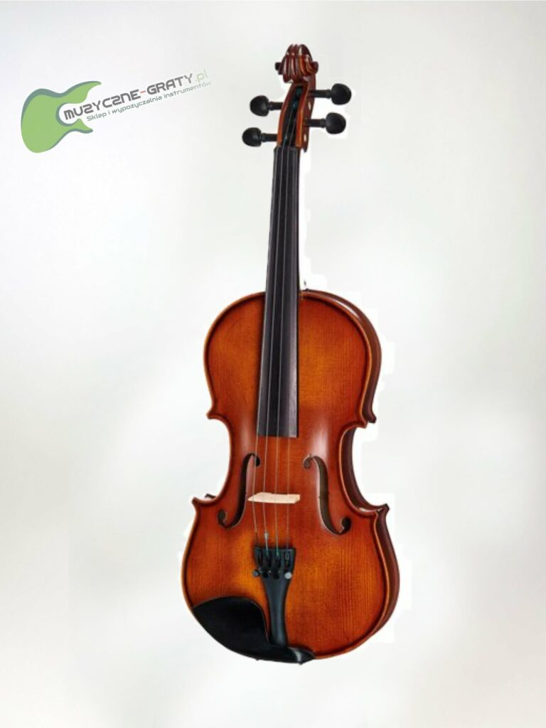 Thomann Student Violinset 4/4